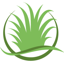 Alpharetta Lawn Treatment