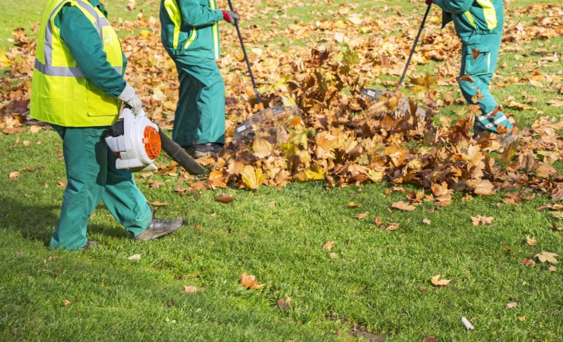 Professional Leaf Removal Equipment