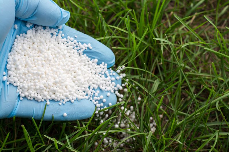 Lawn Fertilizing Service detail