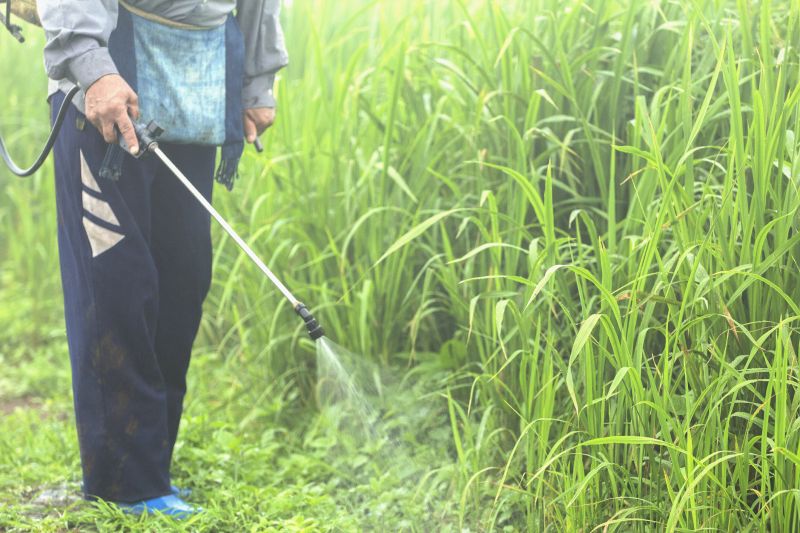 Lawn Herbicide Treatment detail