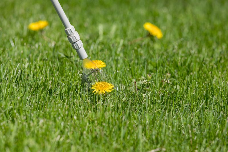 Lawn Herbicide Treatment detail