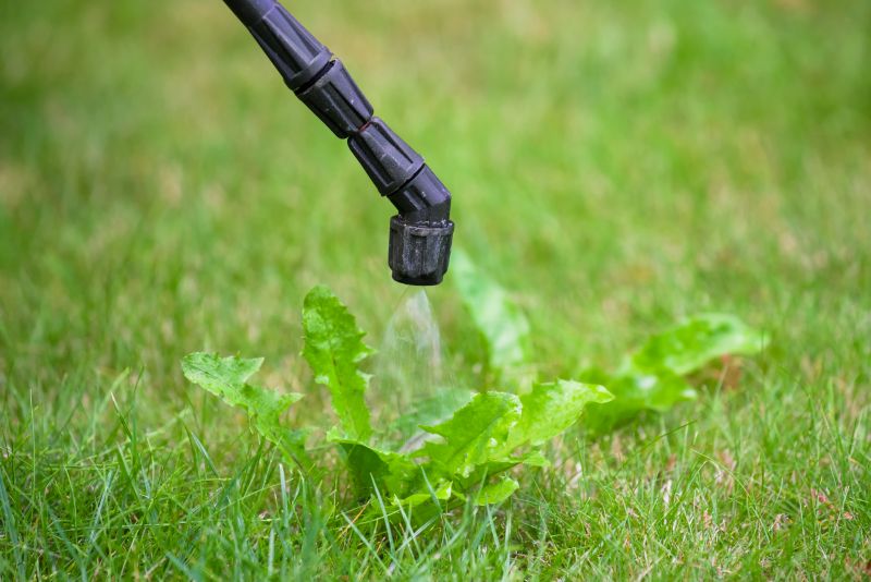 Lawn Herbicide Treatment detail