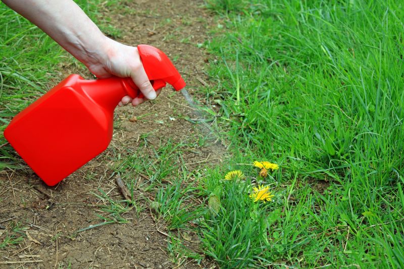 Lawn Herbicide Treatment detail