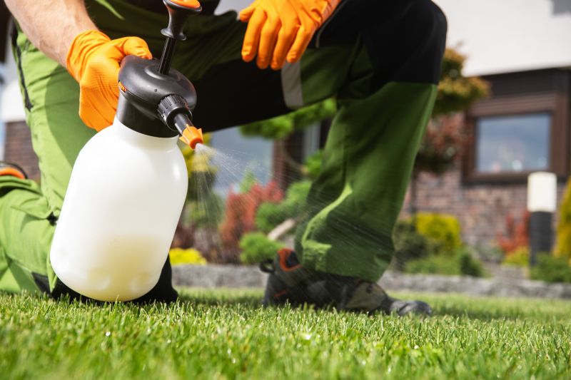 Lawn Spraying detail