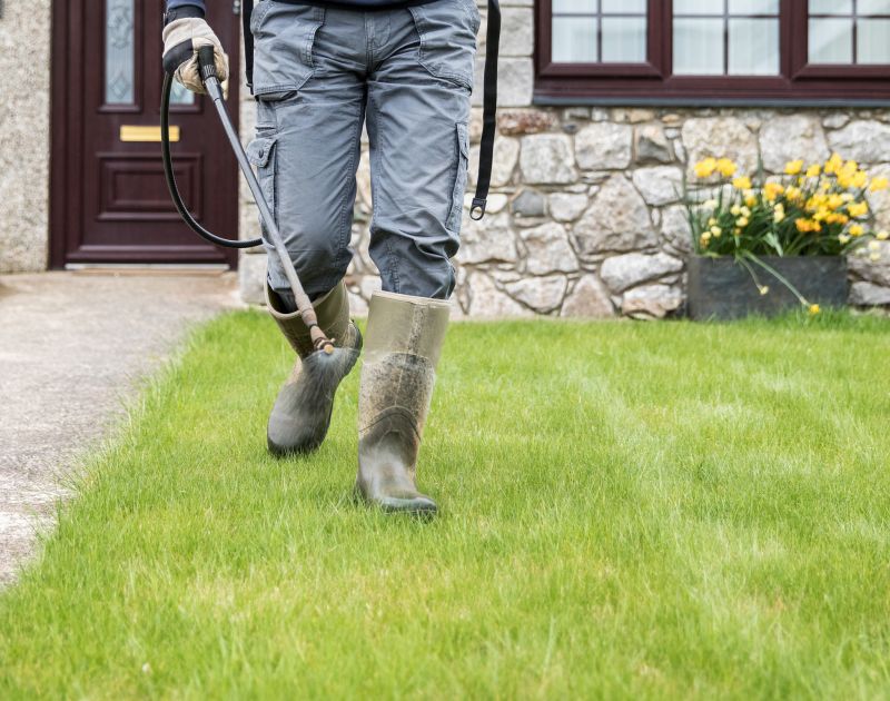 Lawn Treatment Service detail