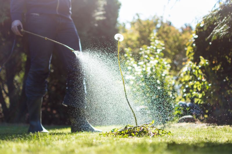 Lawn Weed Treatment Service detail