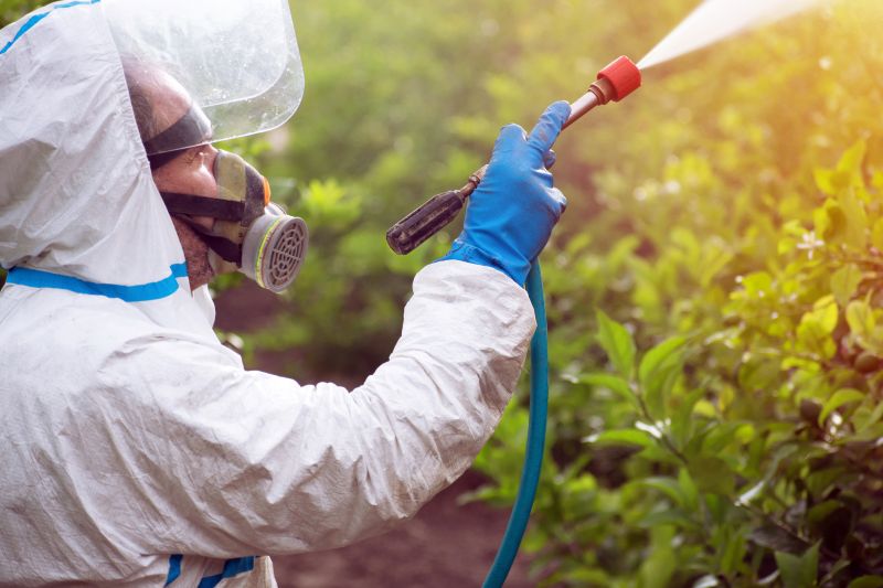 Lawn Weed Treatment Service detail