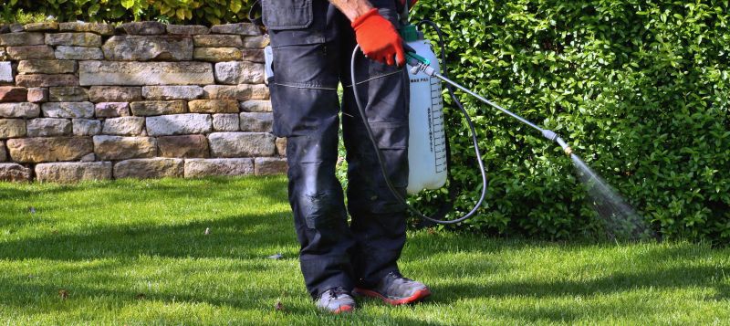 Lawn Weed Treatment Service detail