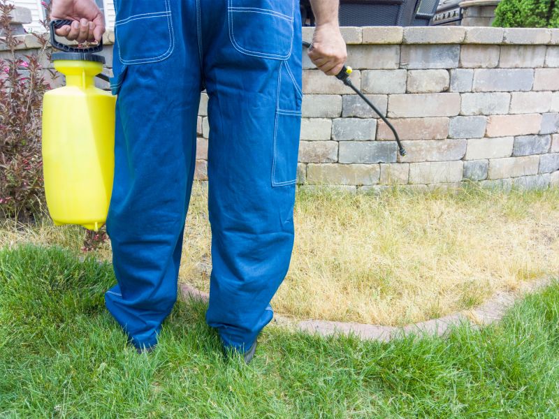 Yard Treatment Service detail