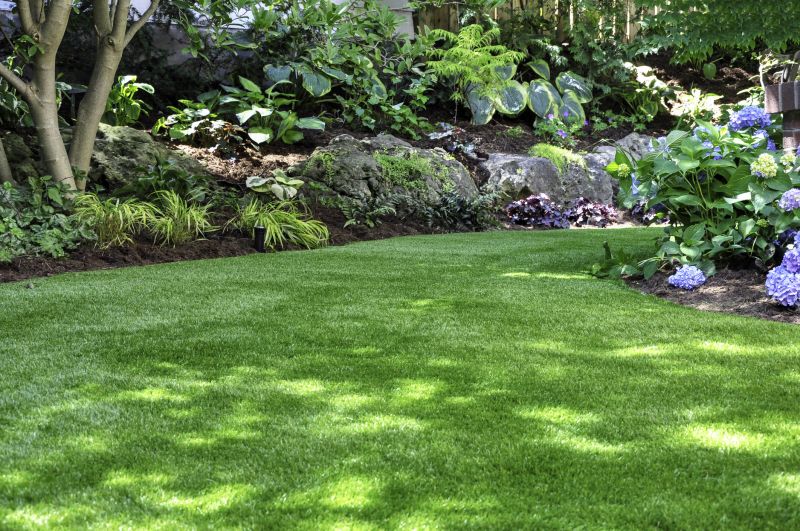 Healthy Lawn After Treatment