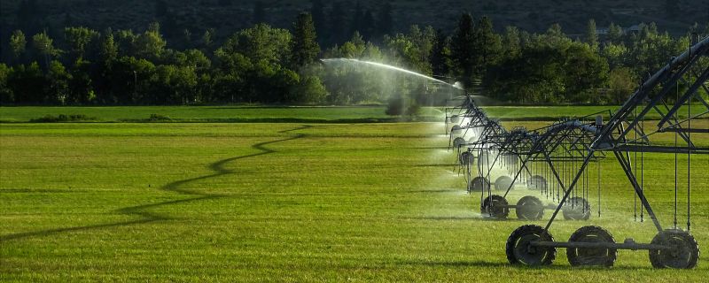 Irrigation Service Providers