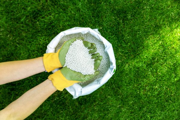 Lawn Fertilizing Service in Alpharetta