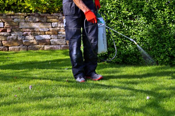 Yard Treatment Service in Alpharetta
