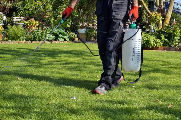 Grass Treatment in Alpharetta