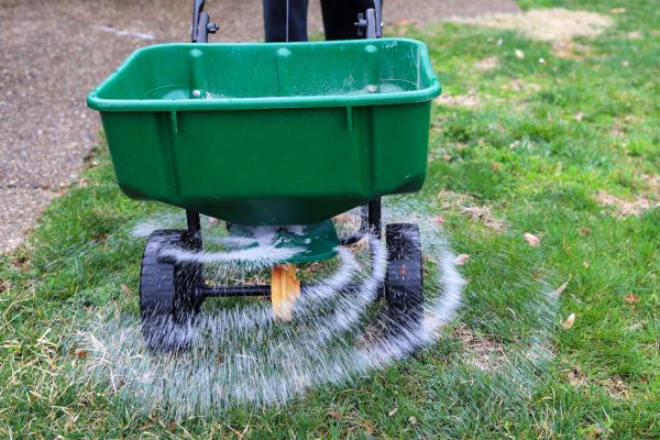 Yard Fertilization in Alpharetta