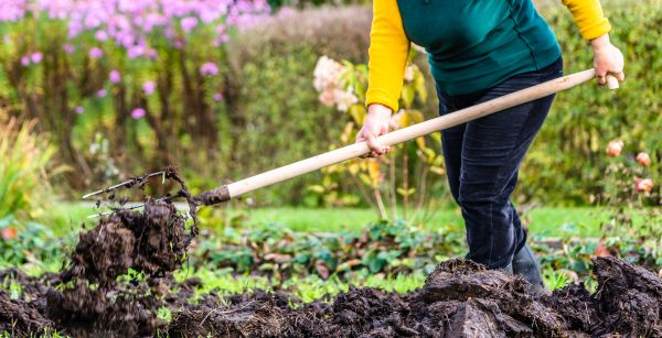 Soil Dressing in Alpharetta