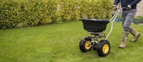 Spring Lawn Fertilizing in Alpharetta